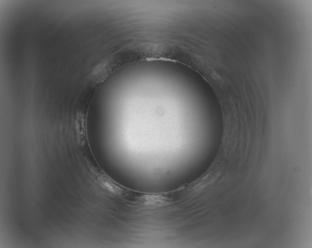 X0000062670528200512281742