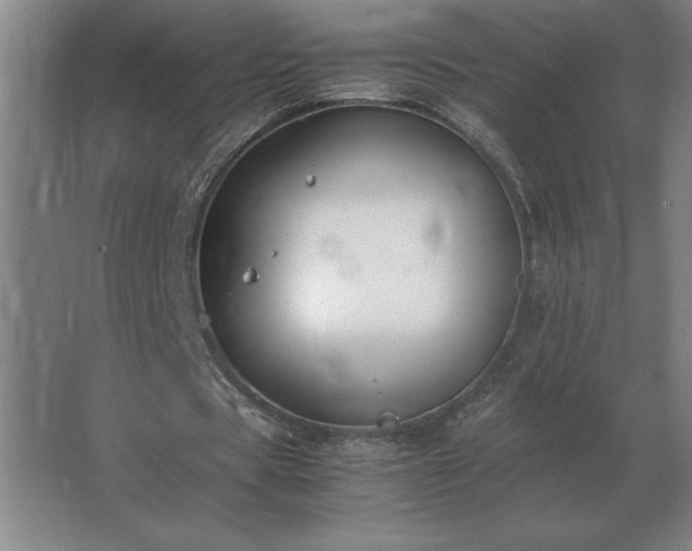 X0000062670529200512281741