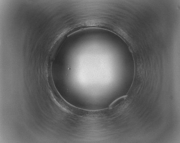 X0000062670530200512281741