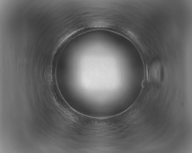 X0000062670531200512281741