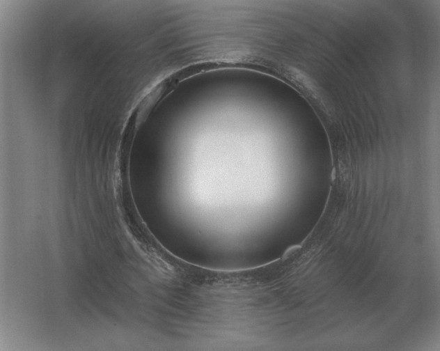 X0000062670532200512281741