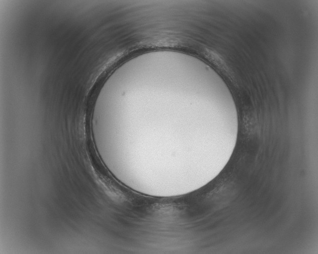 X0000062670534200512281741