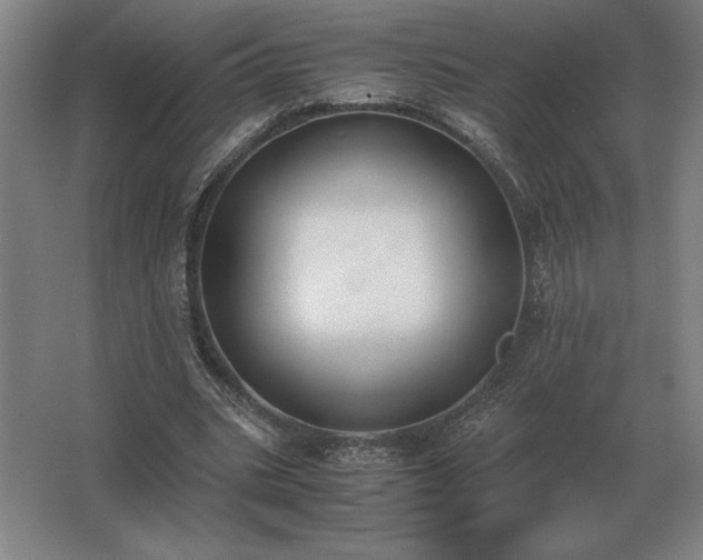 X0000062670535200512281741