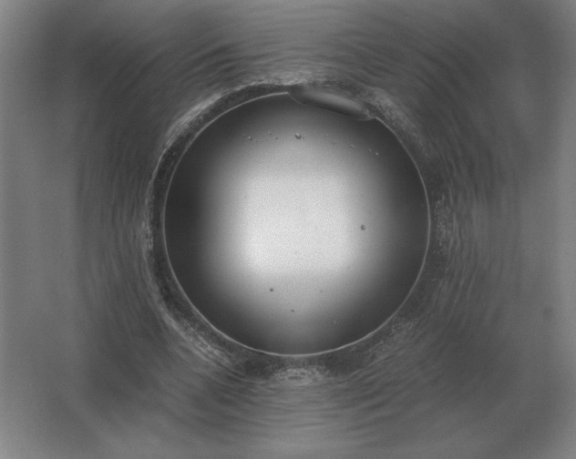 X0000062670536200512281741