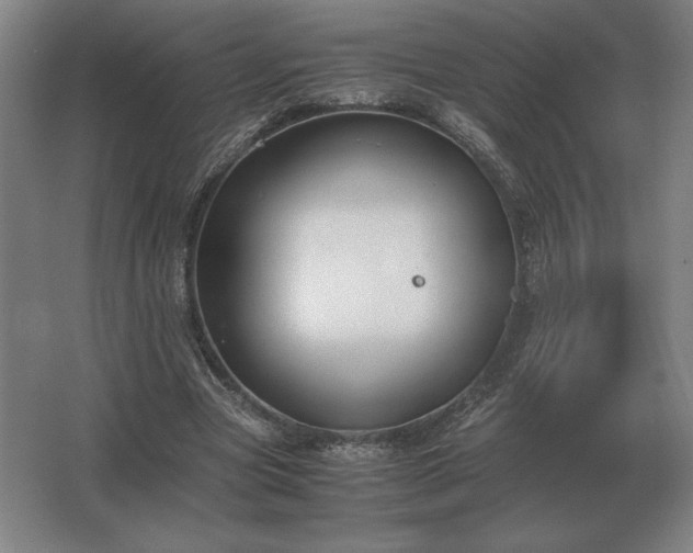 X0000062670537200512281741