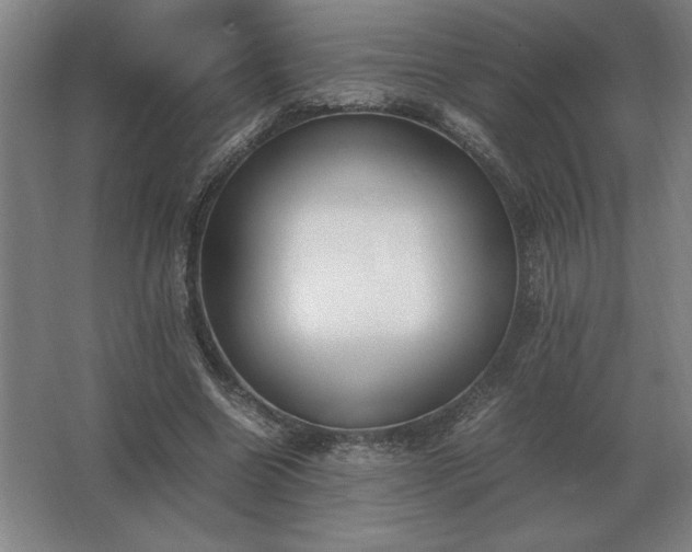 X0000062670538200512281741