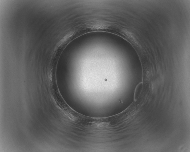 X0000062670539200512281741