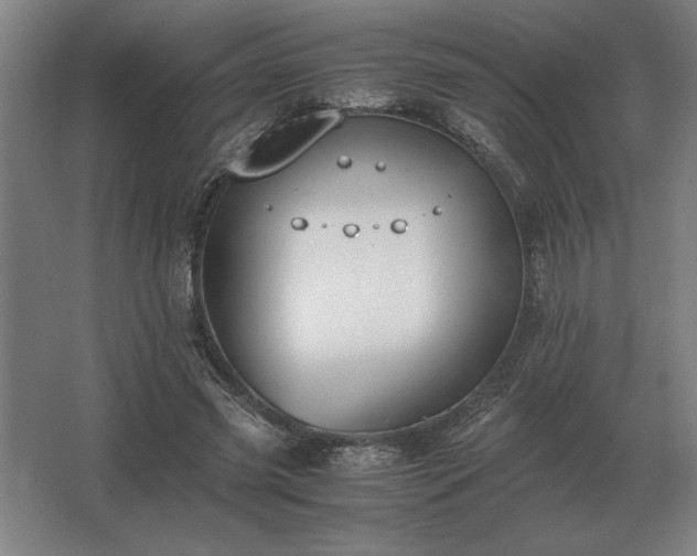 X0000062670541200512281741