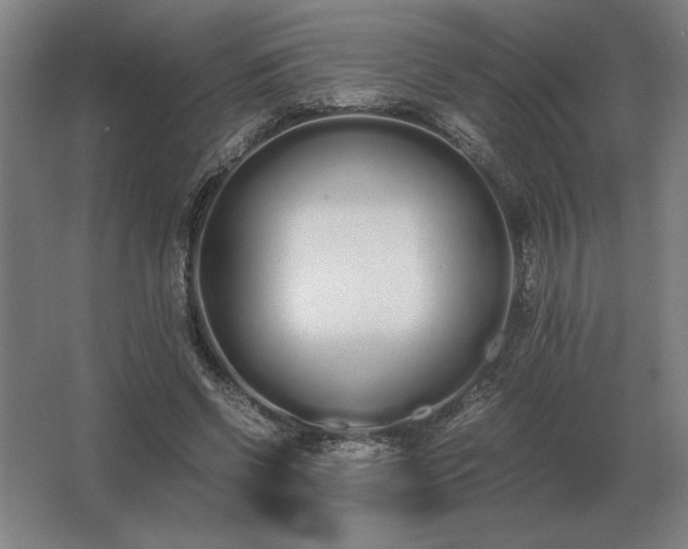 X0000062670542200512281741