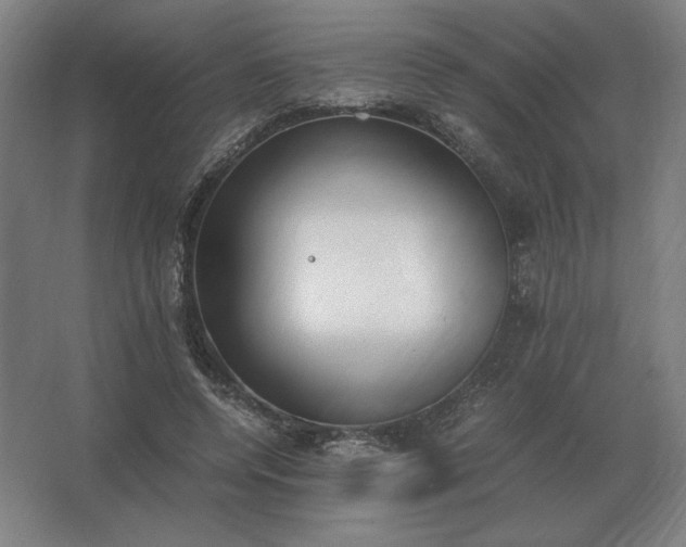 X0000062670544200512281741