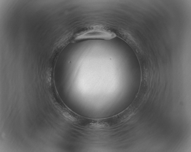 X0000062670545200512281741