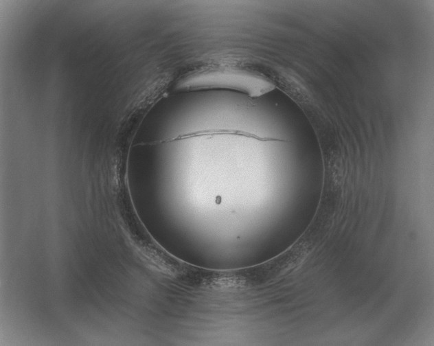 X0000062670546200512281742