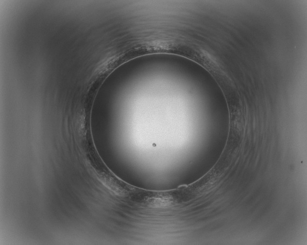 X0000062670548200512281742