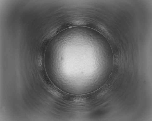 X0000062670549200512281742