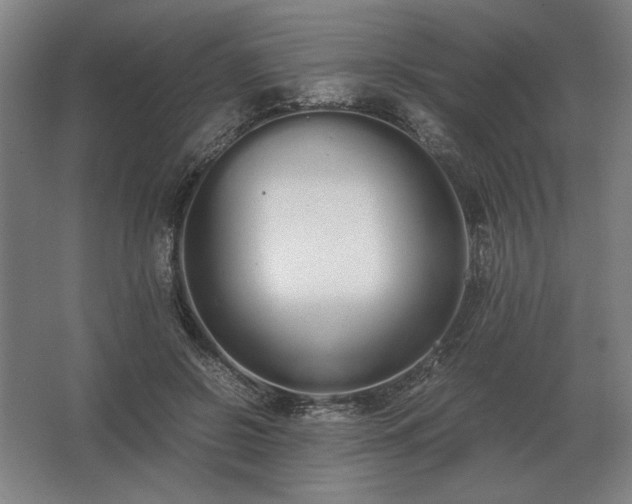 X0000062670550200512281742