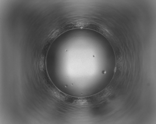 X0000062670554200512281742