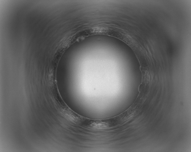 X0000062670557200512281742