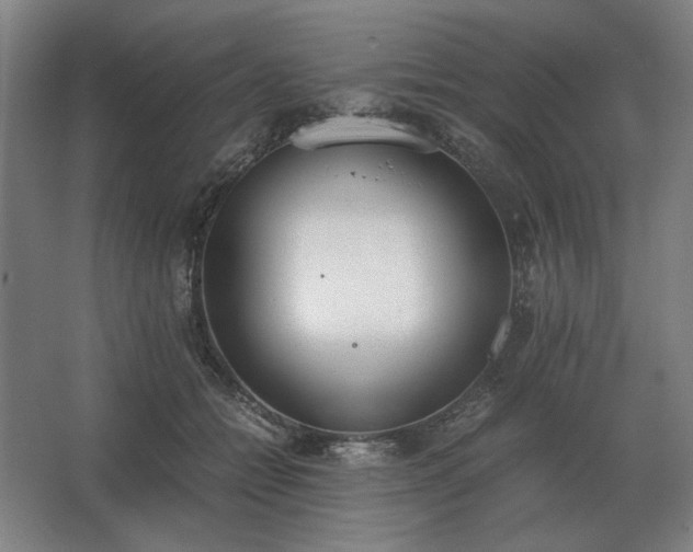 X0000062670558200512281742