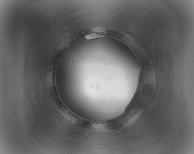 X0000062670560200512281742