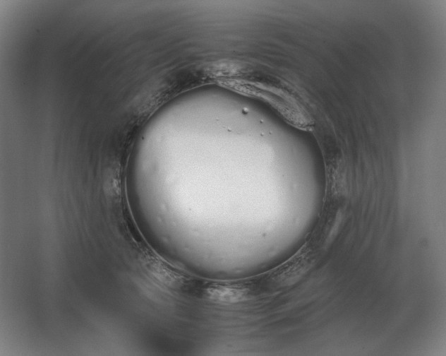 X0000062670561200512281742