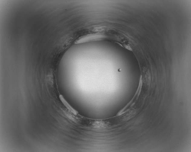 X0000062670562200512281742