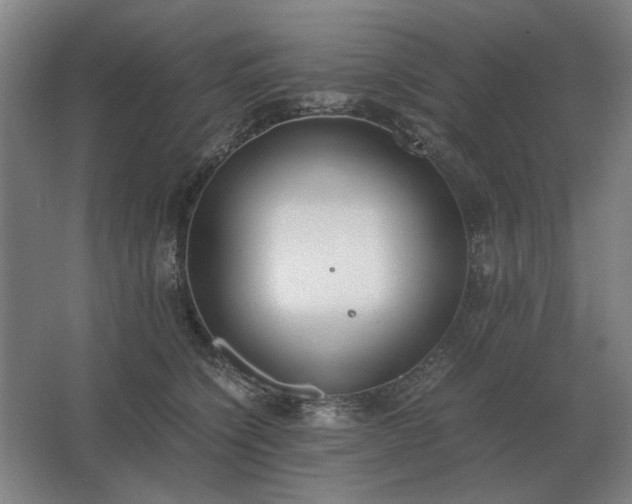 X0000062670564200512281742