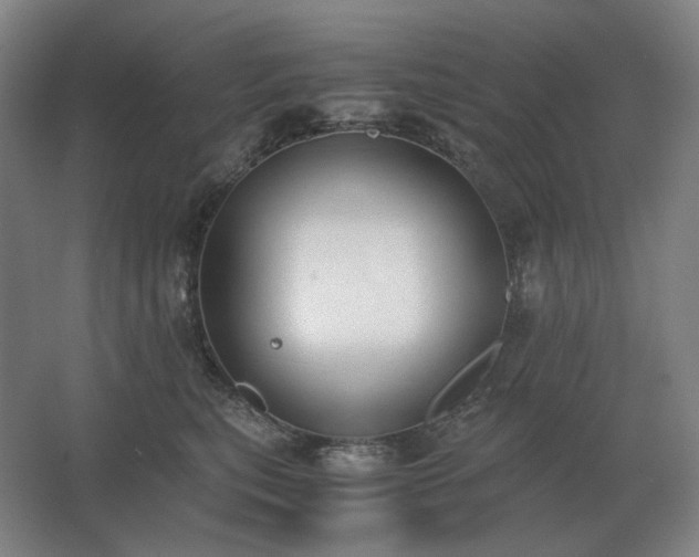 X0000062670567200512281742