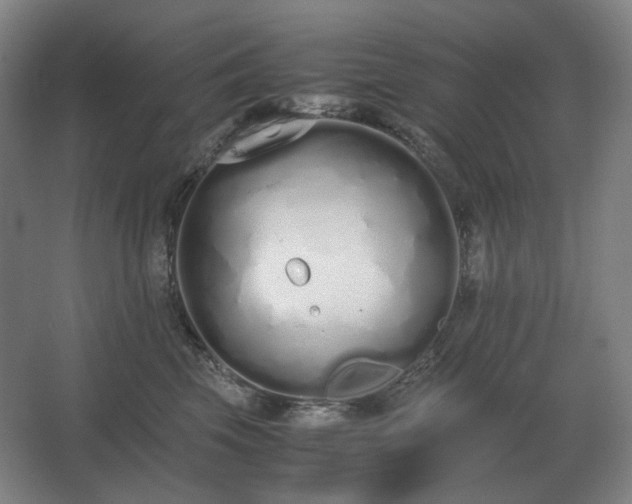 X0000062670569200512281742