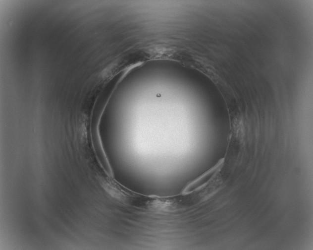 X0000062670570200512281742