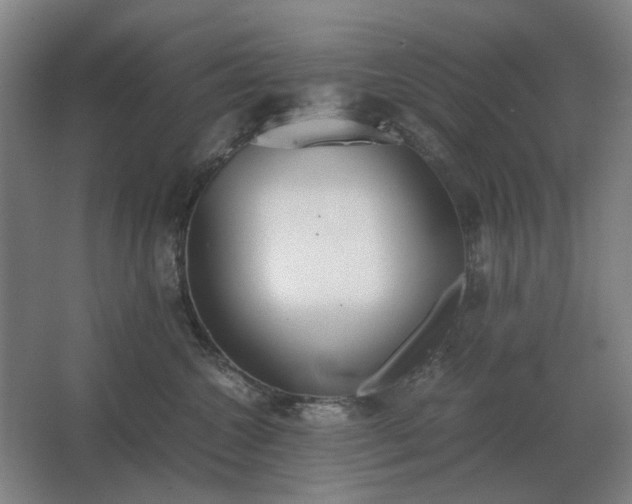 X0000062670572200512281742