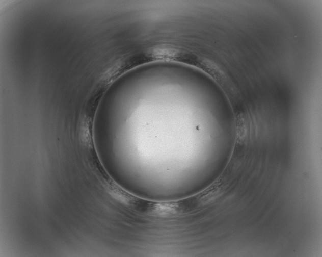 X0000062670573200512281742