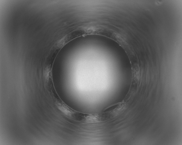 X0000062670574200512281742