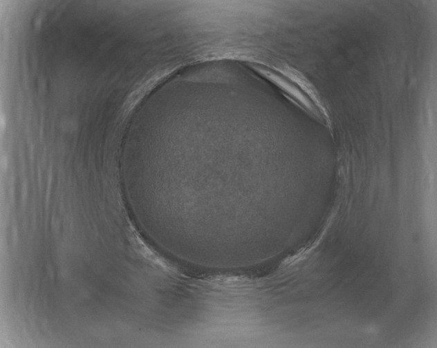 X0000062670577200512281741