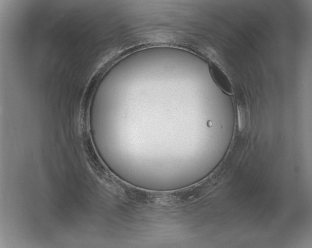 X0000062670579200512281741