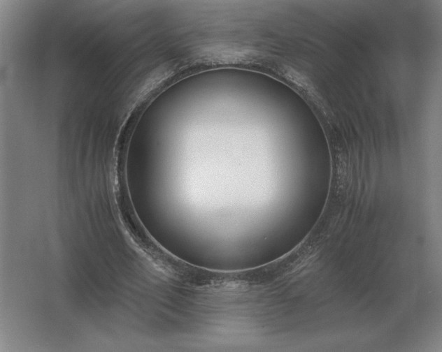 X0000062670582200512281741