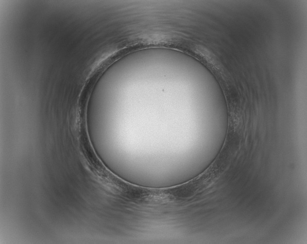 X0000062670583200512281741