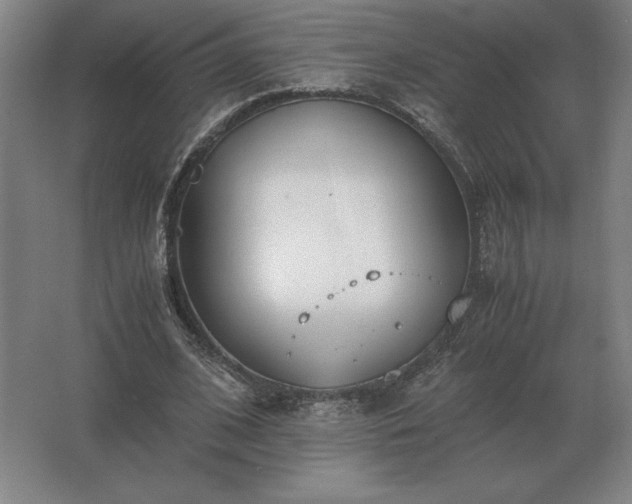 X0000062670584200512281741