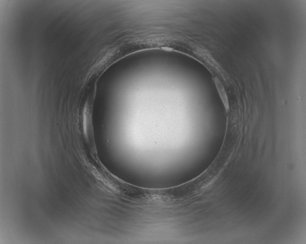 X0000062670585200512281741