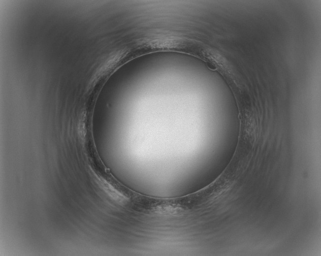 X0000062670586200512281741