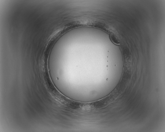 X0000062670587200512281741