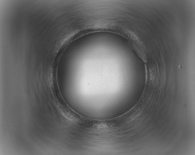 X0000062670588200512281741