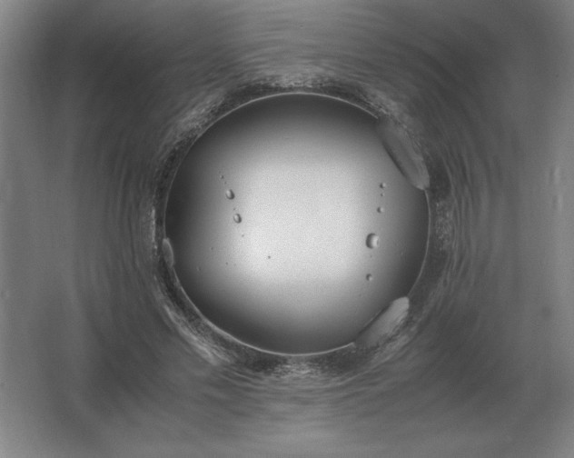 X0000062670589200512281741