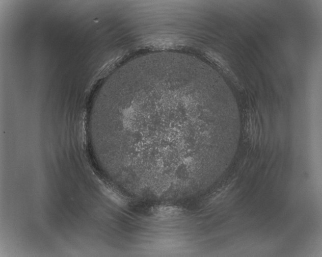 X0000062670590200512281741