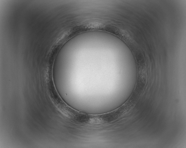 X0000062670591200512281741