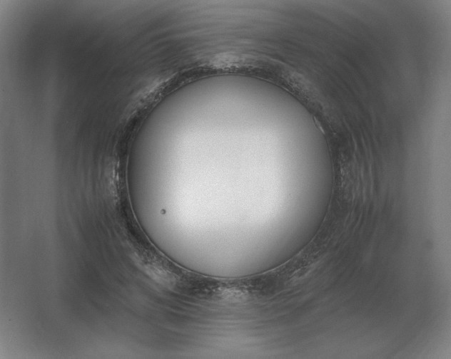 X0000062670592200512281741