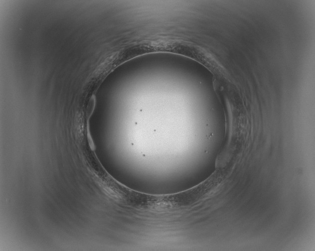 X0000062670593200512281741