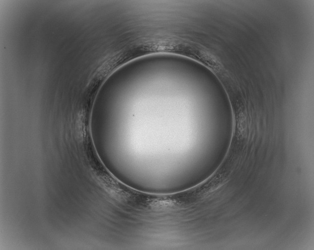 X0000062670594200512281741