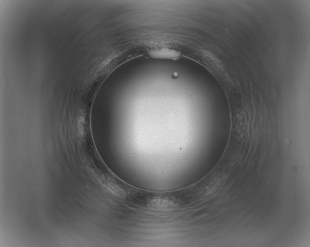 X0000062670596200512281741