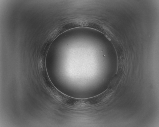 X0000062670597200512281741