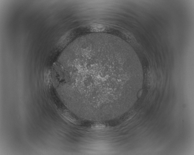 X0000062670598200512281741